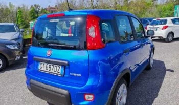 Fiat Panda 1.0 firefly hybrid s&s 70cv 5p.ti full
